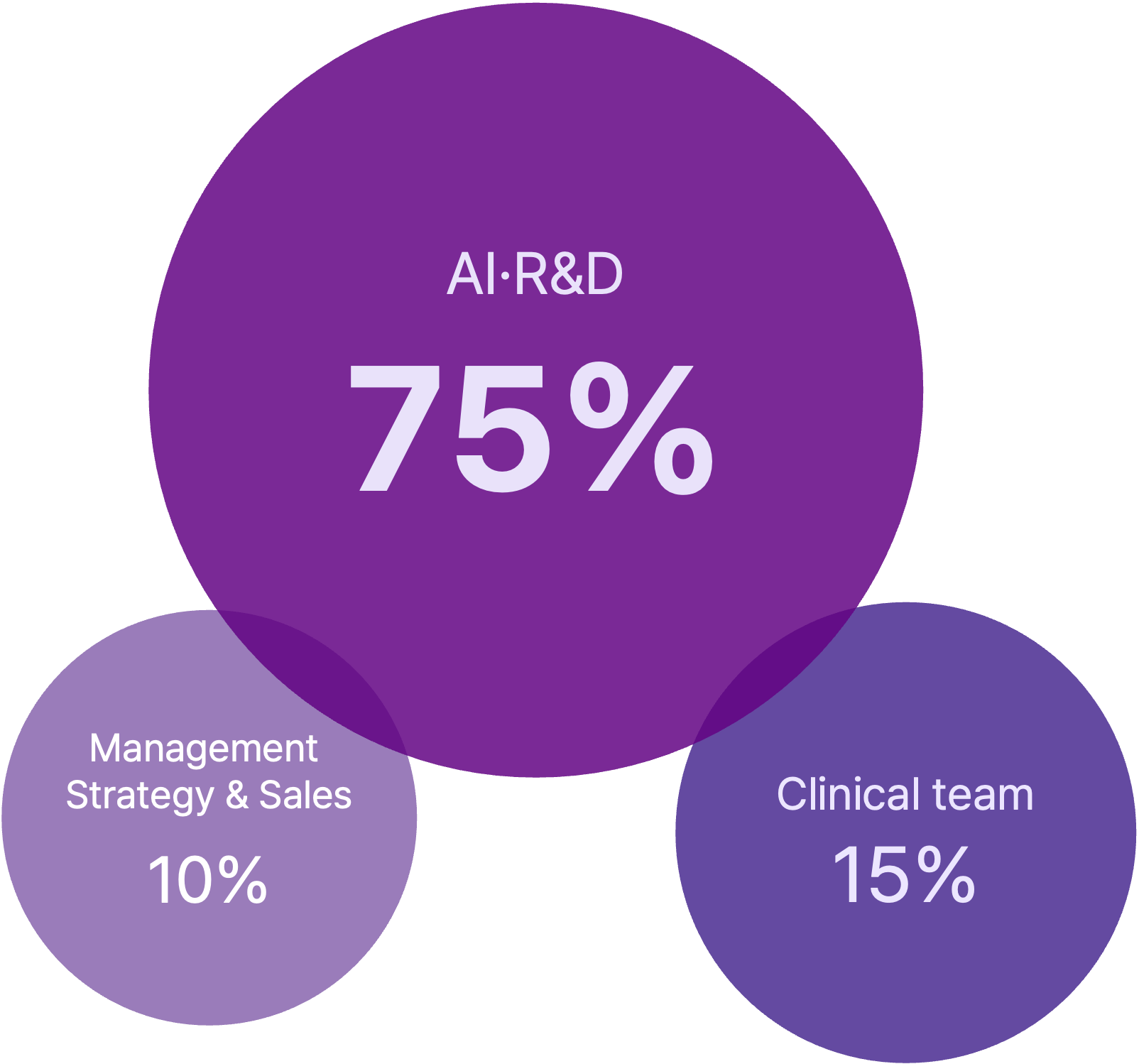 AI·R&D 75%, Management Strategy & Sales 10%, Clinical team 15%